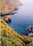 heatherbay.jpg - 6123 Bytes