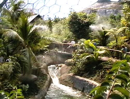 The mountain stream