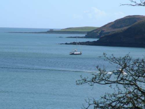 Trebah Gardens