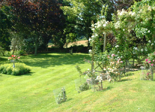 Pergola at Crugsillick