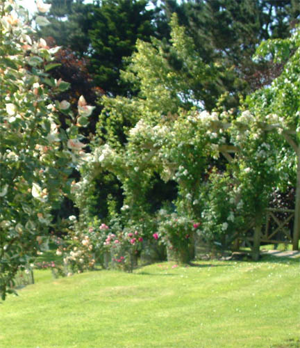 Pergola at Crugsillick