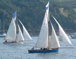 Working boats racing at  St Mawes
